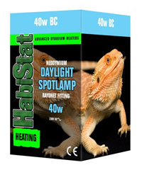 Click to Enlarge Picture of HabiStat Daylight Spotlamp 40W Bayonet