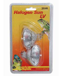 Click to Enlarge Picture of Lucky Reptile Halogen Sun LV 2 x 35W