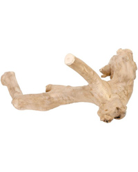Click to Enlarge Picture of ProRep Java Reptile Branch Medium