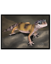 Click to Enlarge Picture of Creative Chameleon Greetings Card Leopard Gecko