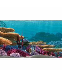 Picture of Penn Plax Nemo 20 Gal Background 24X16