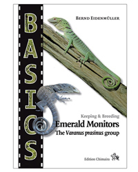 Picture of Chimaira Basics - Emerald Monitors 