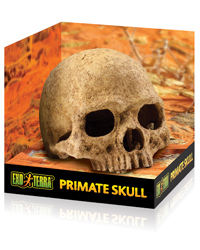 Picture of Exo Terra Primate Skull 