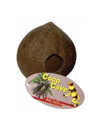 Picture of Lucky Reptile Coco Cave Whole Nut