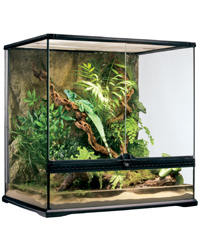 Picture of Exo Terra Glass Terrarium Medium Tall 60x45x60cm