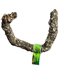 Picture of Lucky Reptile Tronchos Cork Branch 30-40 cm 