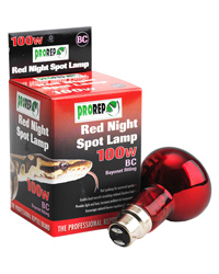 Picture of ProRep Red Night Spot Lamp 100W Bayonet