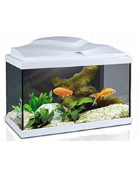 Picture of Ciano Aqua 20 Aquarium With L.E.D Light White
