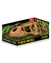 Picture of Exo Terra T Rex Skull 