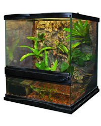 Picture of Zoo Med Naturalistic Terrarium 30 x 30 x 30 cm