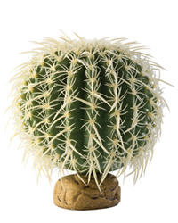 Picture of Exo Terra Barrel Cactus Medium