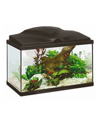 Picture of Ciano Aqua 20 Aquarium With L.E.D Light Black