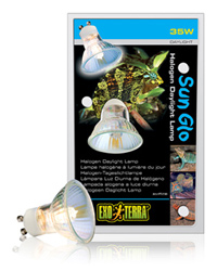 Picture of Exo Terra Sun Glo Halogen Daylight Lamp 35W GU10