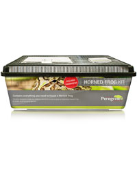 Click to Enlarge Picture of Peregrine Horned Frog Starter Kit
