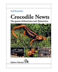 Picture of Chimaira Crocodile Newts 