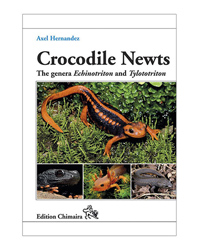 Click to Enlarge Picture of Chimaira Crocodile Newts
