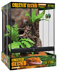 Click to Enlarge Picture of Exo Terra Crested Gecko Starter Kit Large