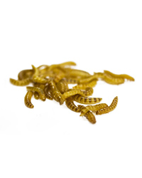Click to Enlarge Picture of Buffalo Worms Pre Pack