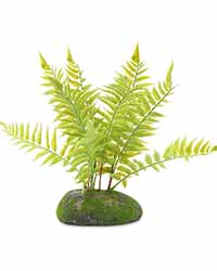 Picture of Pro Rep Artificial Tropical Fern Plant 25cm