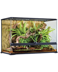 Picture of Exo Terra Glass Terrarium Large Tall 90x45x60cm