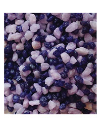 Picture of Hugo Blueberry 2-4Mm 2Kg