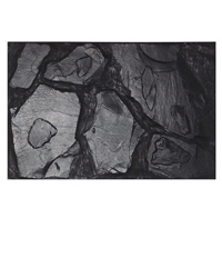 Click to Enlarge Picture of Lucky Reptile Background Altamira 58 x 38 cm