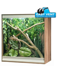 Picture of Vivexotic Viva plus Arboreal Medium Walnut