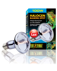 Click to Enlarge Picture of Exo Terra Halogen Basking Spot 100W