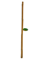 Picture of Lucky Reptile Bamboo Stick 3 cm x 1 Metre