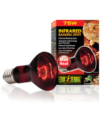 Click to Enlarge Picture of Exo Terra Infrared Basking Spot 75W