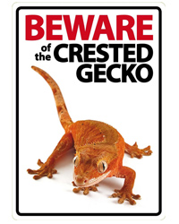 Picture of Beware of the Crested Gecko Sign 