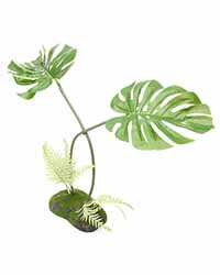 Picture of Pro Rep Artificial Philodendron Monstera Plant 45cm