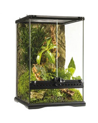 Picture of Exo Terra Glass Terrarium Mini Tall 30 x 30 x 45 cm