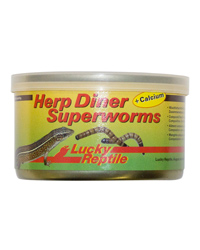 Picture of Lucky Reptile Herp Diner Superworms