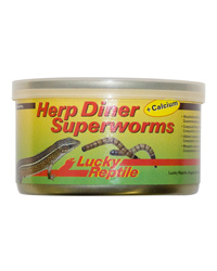 Click to Enlarge Picture of Lucky Reptile Herp Diner Superworms