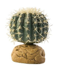 Picture of Exo Terra Barrel Cactus Small
