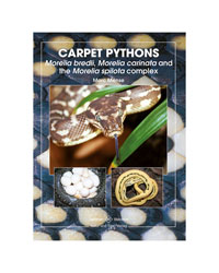 Picture of NTV Carpet Pythons Morelia spp. Marc Mense 