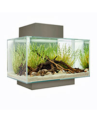 Click to Enlarge Picture of Fluval Edge 23L Led Pewter