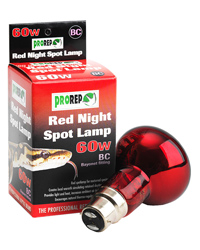 Click to Enlarge Picture of ProRep Red Night Spot Lamp 60W Bayonet