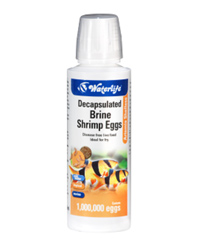 Picture of Waterlife Artemia Shelless Brine Shrimp Eggs 100 ml