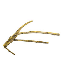 Click to Enlarge Picture of ProRep White Acacia Branch Small