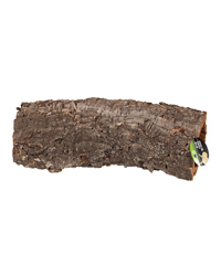 Picture of ProRep Cork Bark Large Tube Long