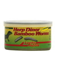Click to Enlarge Picture of Lucky Reptile Herp Diner Bamboo Worms with Calcium