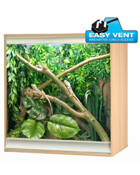 Click to Enlarge Picture of Vivexotic Viva plus Arboreal Medium Beech