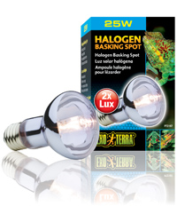 Click to Enlarge Picture of Exo Terra Halogen Basking Spot 25W