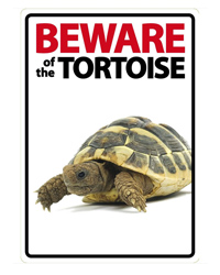 Picture of Beware of the Tortoise Sign 