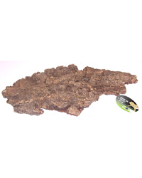 Picture of ProRep Cork Bark Flat Large