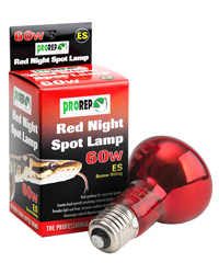 Picture of ProRep Red Night Spot Lamp 60W Edison Screw