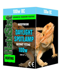 Click to Enlarge Picture of HabiStat Daylight Spotlamp 100W Bayonet
