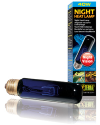 Picture of Exo Terra Night Heat Lamp T10 40W